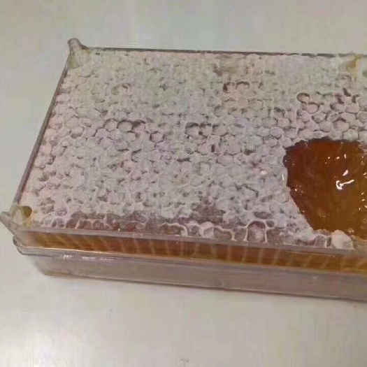 赞皇县土蜂蜜 蜂巢蜜