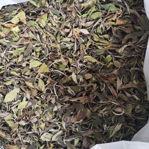 福鼎市白牡丹茶  福鼎白茶    白牡丹