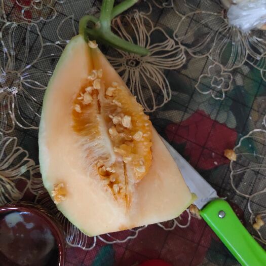 西安 阎良甜瓜