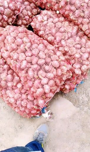 开封 大蒜量大量大！！