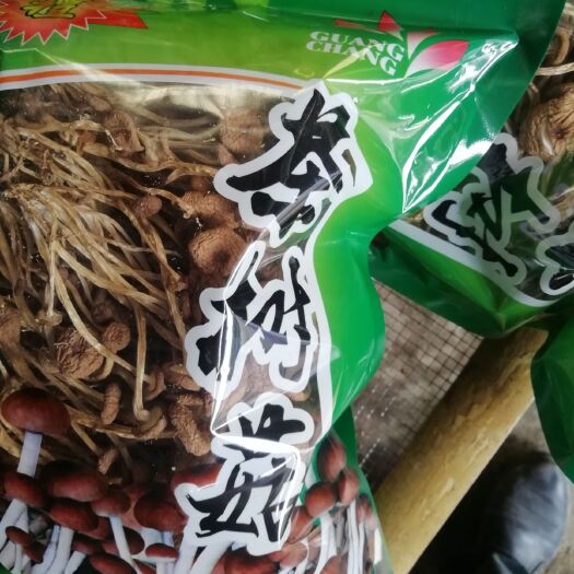 石城县广昌3号茶树菇 10~12cm 未开伞 干茶树菇