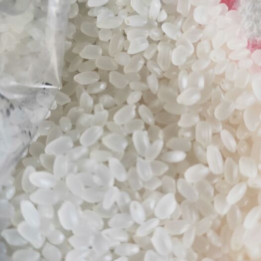 富锦市圆粒大米 一等品 一季稻 粳米