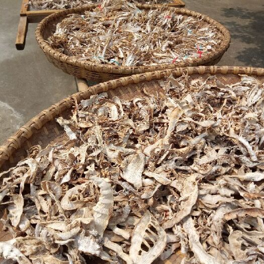衡东县25年刚出土的嫩笋春笋干，毛竹楠竹笋尖