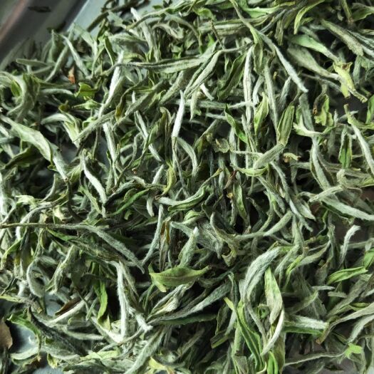 福鼎市白牡丹茶  福鼎白茶  荒野牡丹
