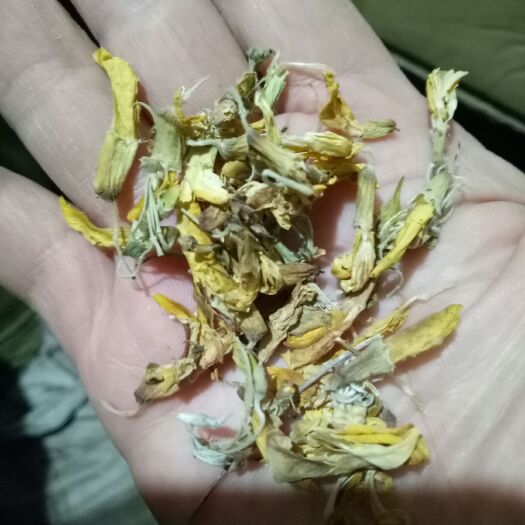 安国市中药材金雀花