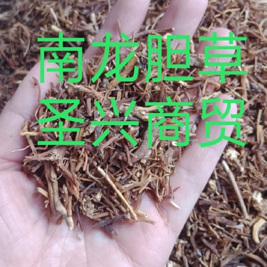 安国市龙胆草南龙胆草北龙胆草