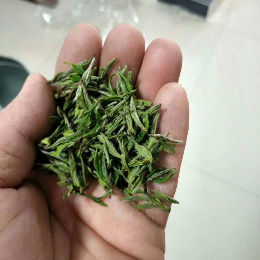 桐城市 桐城小花绿茶，安徽名茶