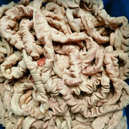 郑州猪肠  全熟大肠，大料卤制，可
直接食用，量大可以优惠。