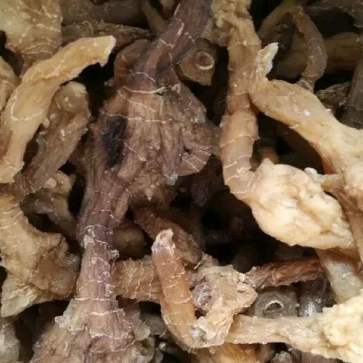 昆明 黄精，姜形黄精，多花黄精
