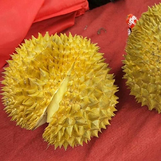 昌乐县 泰国金枕大榴莲