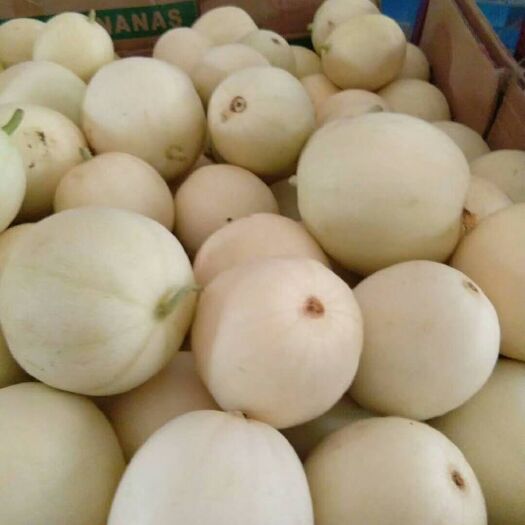 大荔县 大荔甜瓜