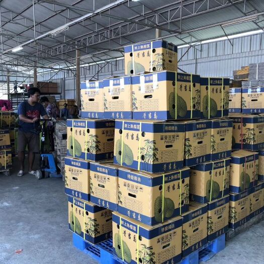 凭祥市泰国金枕榴莲产地批发商