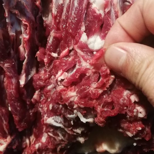 林州市 纯放养的羊，羊肉羊排