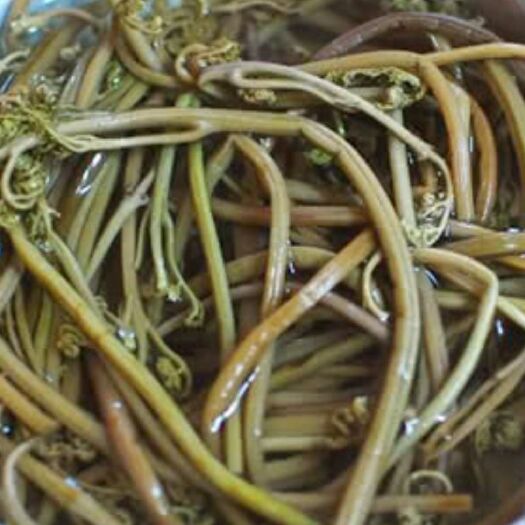 蛟河市野生蕨菜 天然气候变化形成野生可食用植物菌类，土生土长土养的动植物