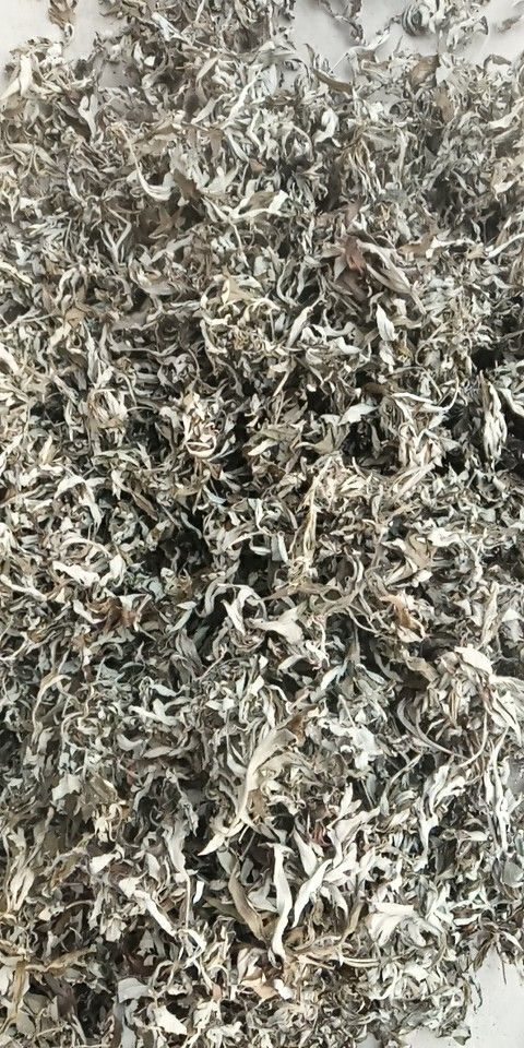 沂源县 驱寒去湿。沂蒙山纯艾叶。缓解脚气