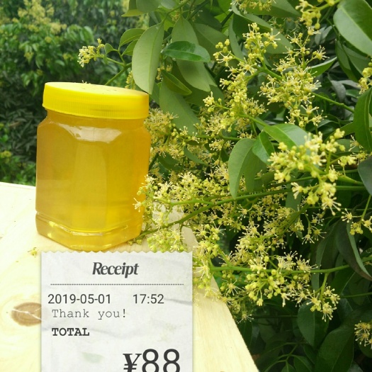 合江县 土蜂蜜荔枝