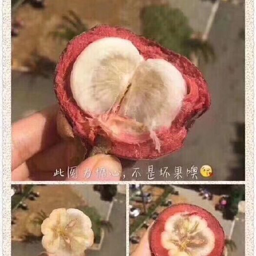 昆明 泰国山竹品质货