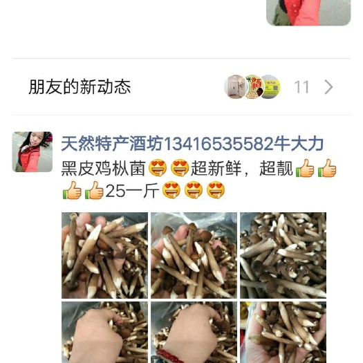 清远 黑皮鸡枞菌