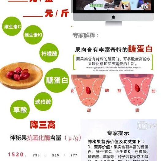 神秘果苗 神秘果