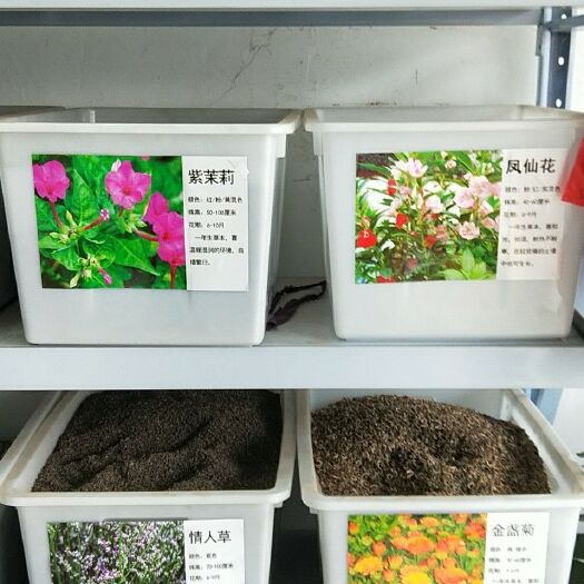 常州水生鸢尾 浩宇种业有限公司，常年批发及零售，花卉林木种子，及水生植物种