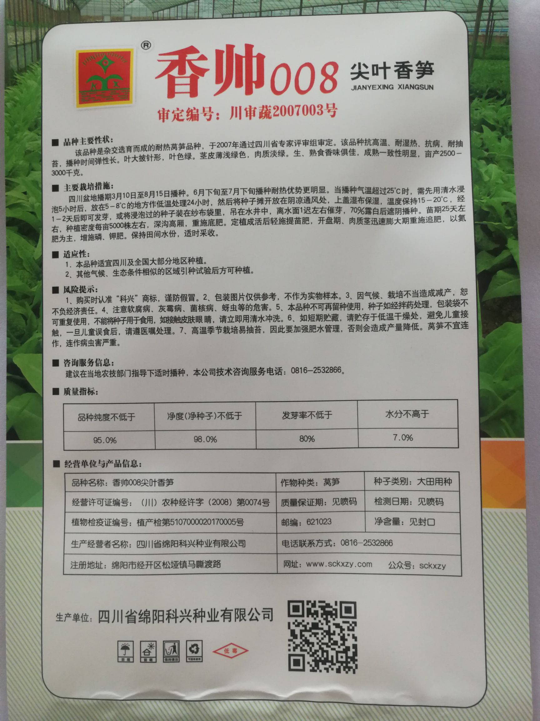 耐热莴笋种子40℃高温正常生长大尖叶耐热莴苣种子四季莴笋种子