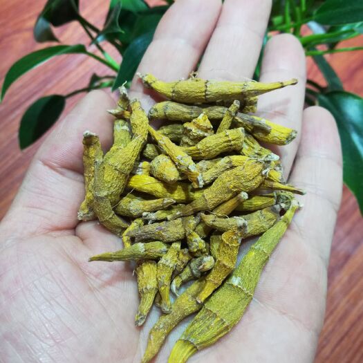 开平市老挝虎牙石斛 天然石斛干货