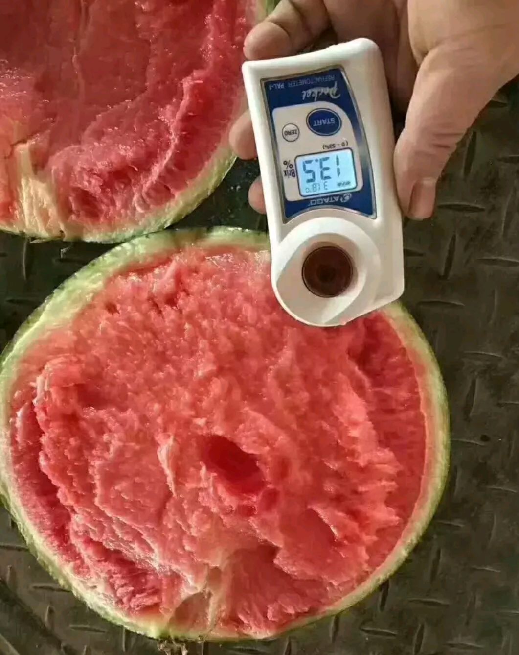 麒麟西瓜 精品早佳8424