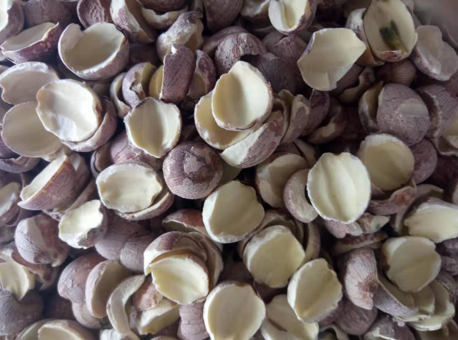  微山湖特产莲子！清热降火！****！欢迎广大食客定购！