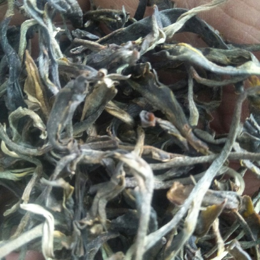 凤庆县 2019年绿茶炒青茶天然无农药化肥剂