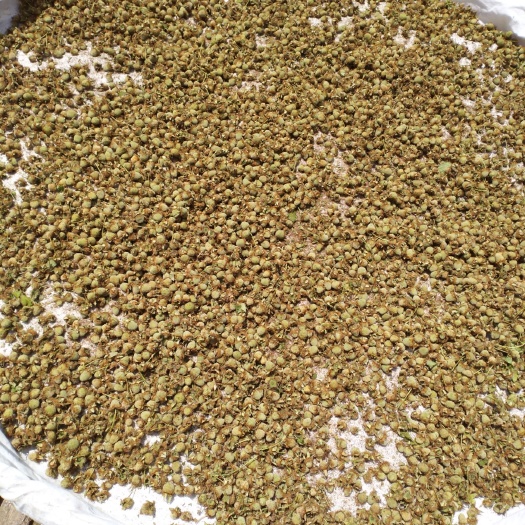 绍兴 覆盆子干货