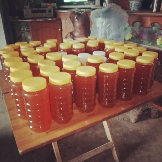 砚山县 只卖土蜂蜜，价格合理，价格太高卖不出去，价格太低养不活养蜂人