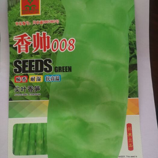 耐热莴笋种子40℃高温正常生长大尖叶耐热莴苣种子四季莴笋种子
