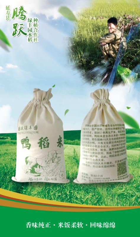 稻鸭共生有机大米 腾跃绿丰园水稻种植合作社:“鸭稻米”和“国色天香”