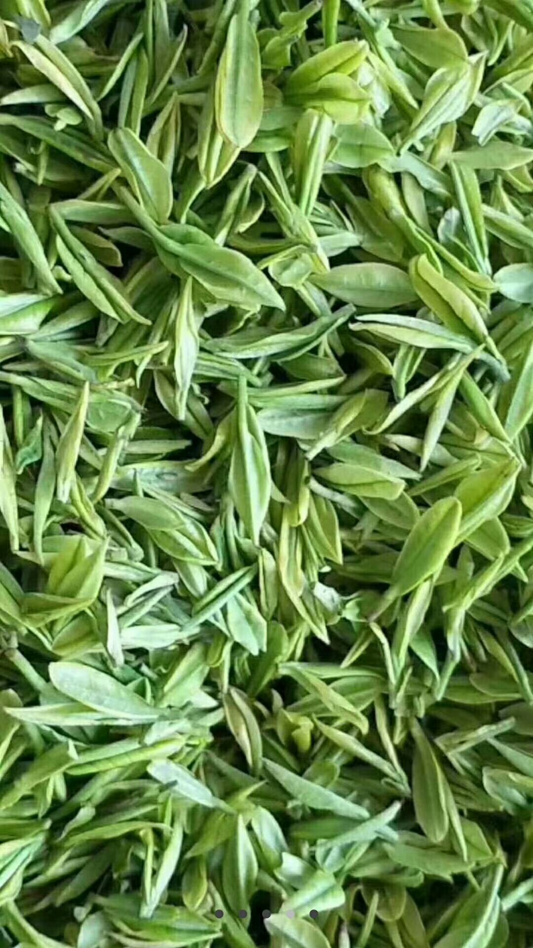 信陽毛尖2019新茶綠茶明前特級嫩芽春茶茶葉散裝濃香型