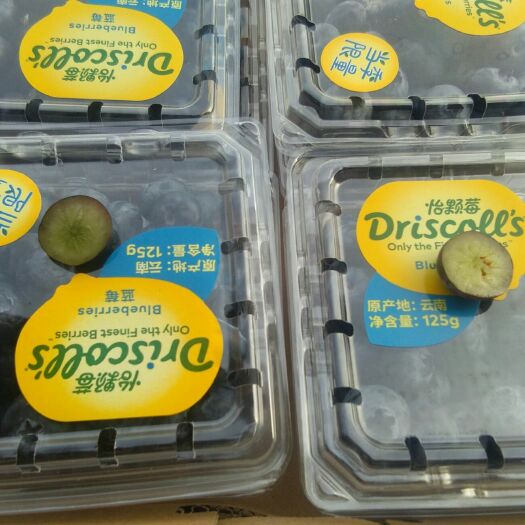 南京 怡颗莓蓝莓王蓝莓中的