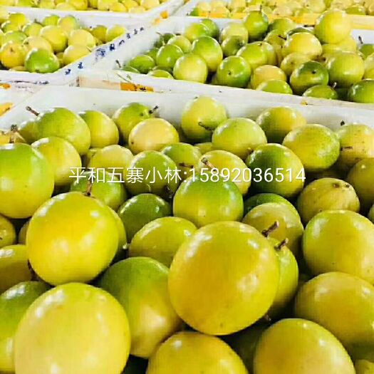 平和县 黄金百香果芭乐味，百香果