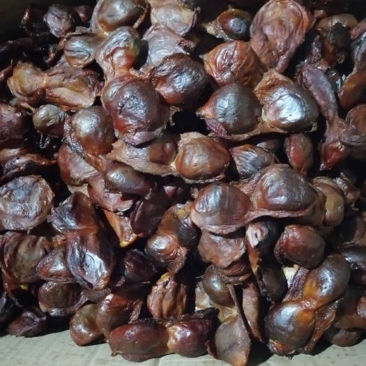 隆回县腊鸭胗 散装 3-6个月