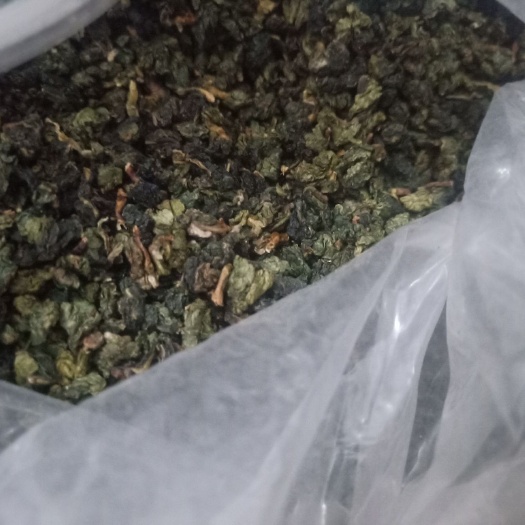 厦门 绿茶春茶