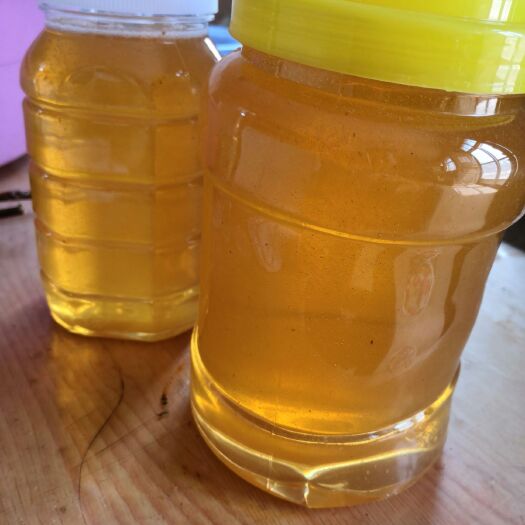 东平县 用良心养蜂，酿纯正蜂蜜！纯蜂蜜