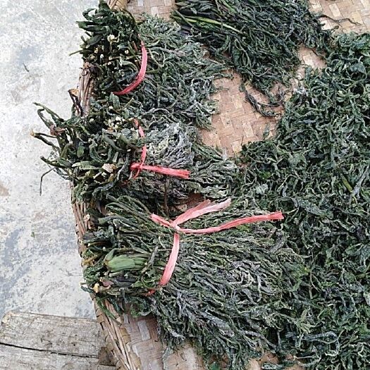 南漳县干香椿芽 野生干香椿扎把嫩度好香味浓条细天然食品2斤包邮