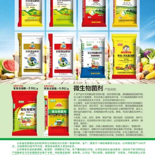 济宁微生物有机肥 专业生产控释肥，微生物菌肥！