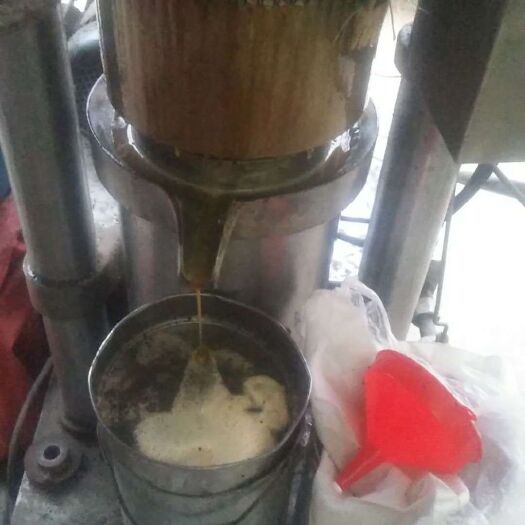 遂平县纯菜籽油