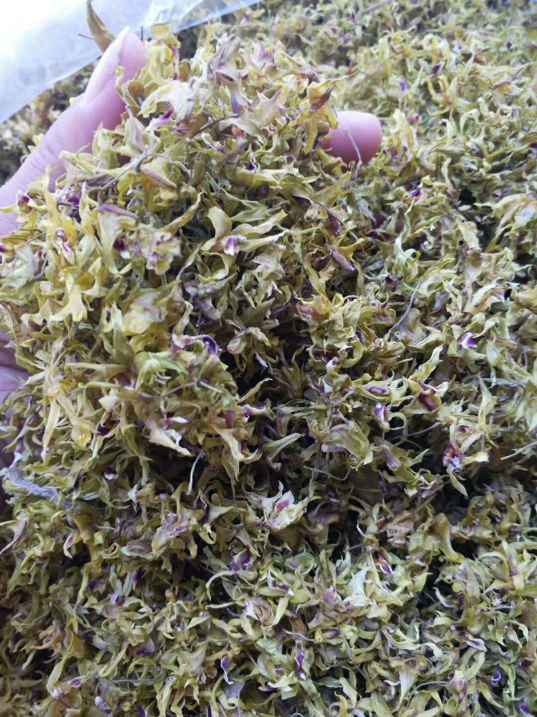 金钗石斛花 铁皮石斛干花