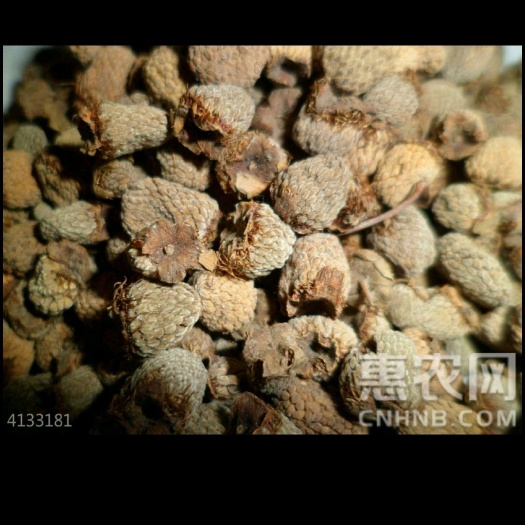 三门县覆盆子 药材含量高，量大从优，欢迎前洽谈。