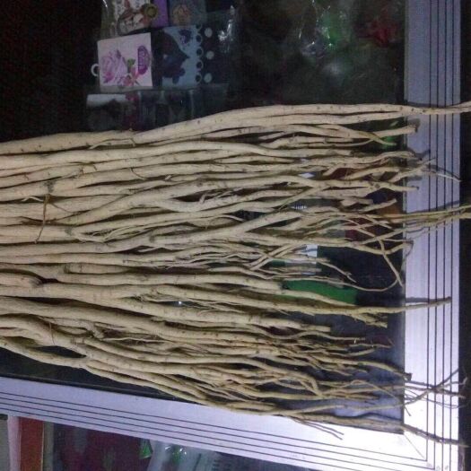 临洮县白条党参