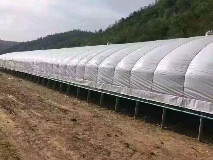  养殖大棚  养鸡养鸭养鹅  专业定制