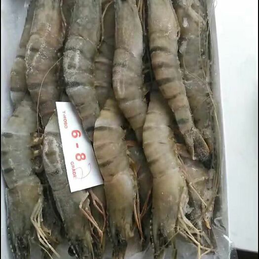 虎虾