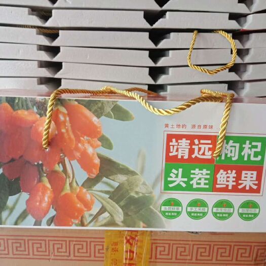 靖远县 靖远鲜枸杞销售中
