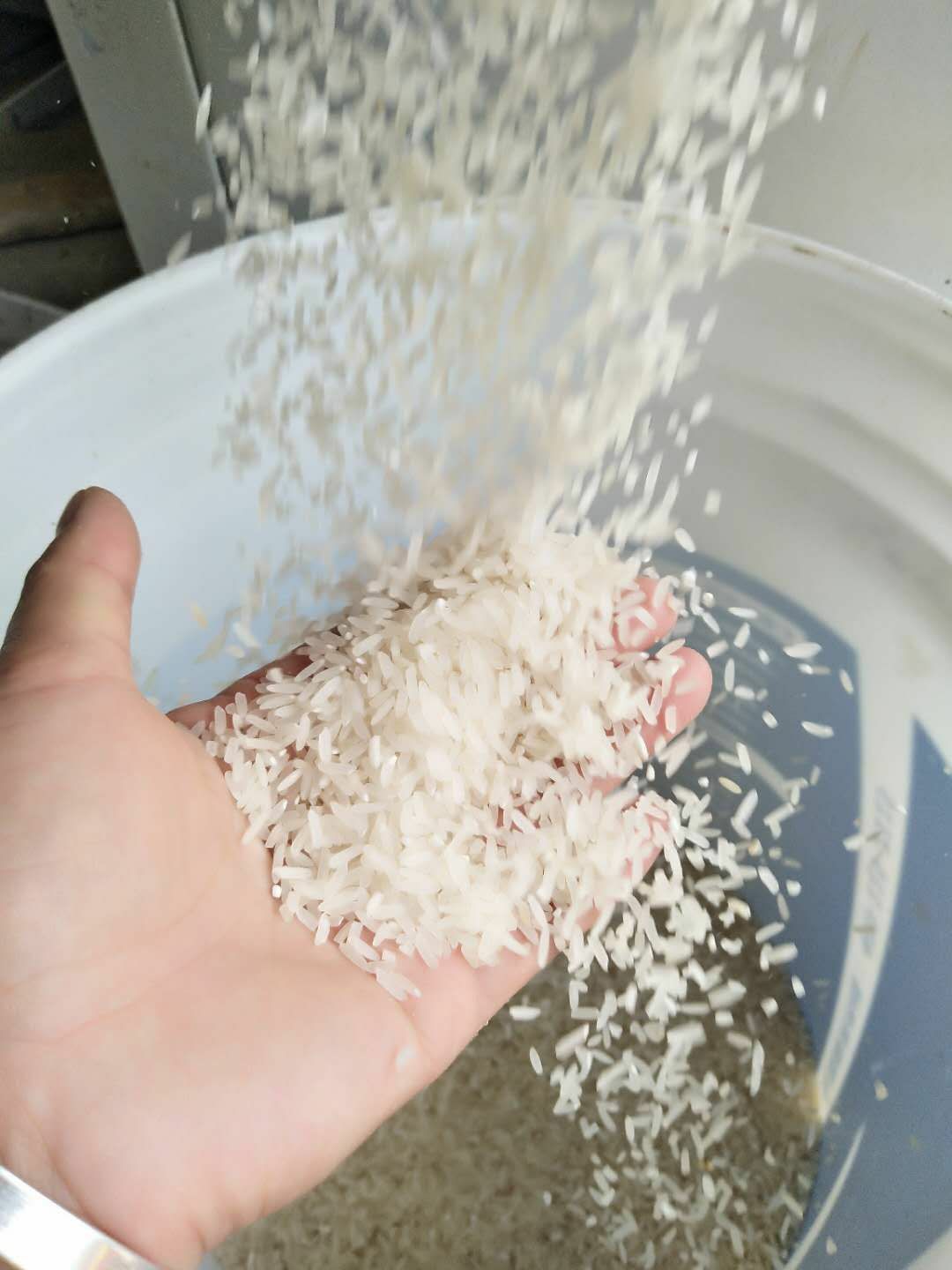百香139大米 一等品 晚稻 籼米