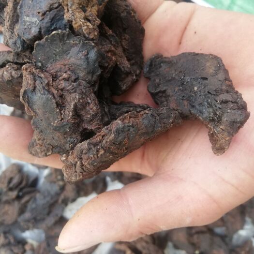 绍兴 怀地黄足干保质保量支持药检，不夸大宣传